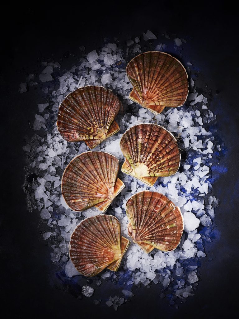 La Perle Des Grèves St Benoit Des Ondes